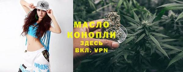 соль ск Бородино